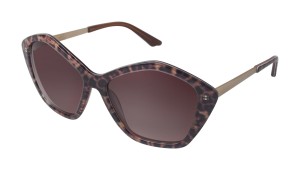 Brendel_9116007_Brown